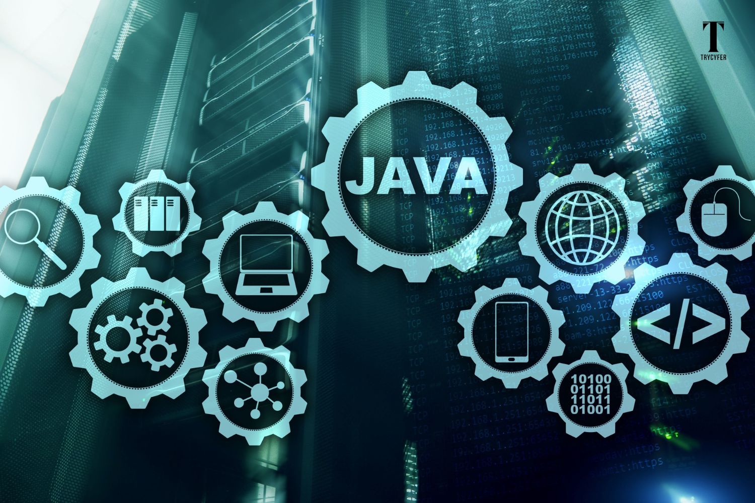 How to Get Source Code of a Website in Mobile? - Trycyfer